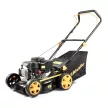 Fűnyíró nem önjáró benzinmotoros 2 az 1-ben Riwall PRO RPM 4234 P