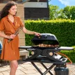 Gázüzemű mobil grillsütő 4,2 kW, 2 gázégővel Riwall PRO RGG 20 Compact