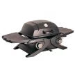 Riwall PRO RGG 20 Compact gázüzemű mobil grillsütő 4,2 kW, 2 gázégővel